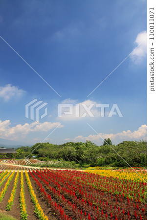 Nasu Flower World 110011071