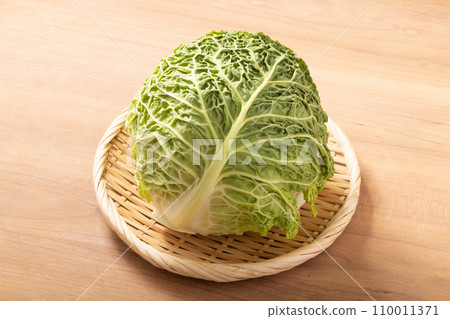 Savoy cabbage Savoy cabbage 110011371