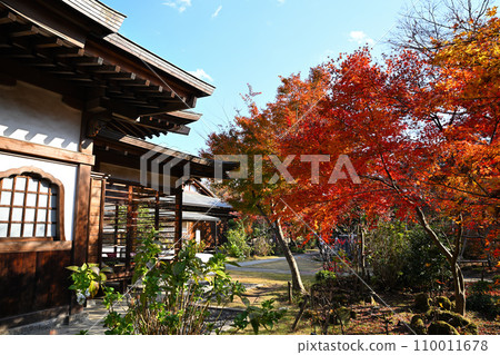 所澤市多莫院內的紅葉風景 110011678