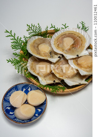 Scallops still in their shells Scallops still in their shells 110012461