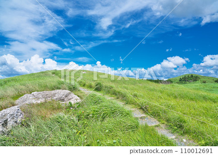 [Ishiishi Kogen] Nakata, Kimino-cho, Seagrass-gun, Wakayama Prefecture 110012691