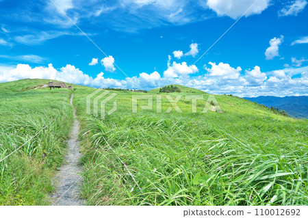 [Ishiishi Kogen] Nakata, Kimino-cho, Seagrass-gun, Wakayama Prefecture 110012692