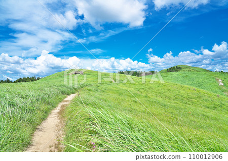 [Ishiishi Kogen] Nakata, Kimino-cho, Seagrass-gun, Wakayama Prefecture 110012906