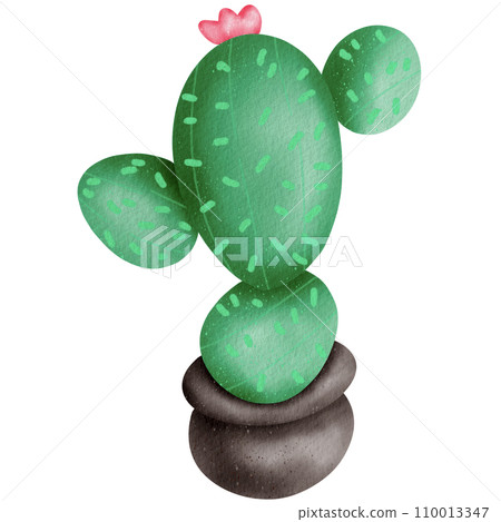 cactus nerd  110013347