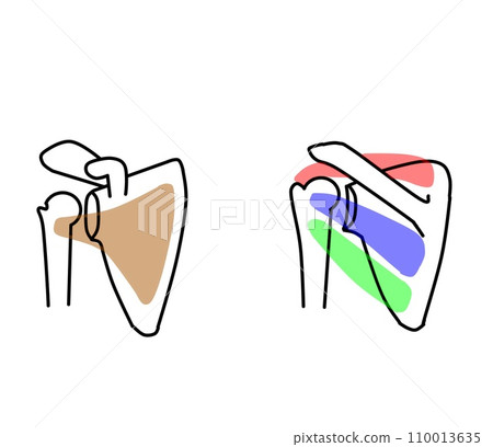 rotator cuff 110013635