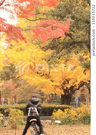 秋天的公園染成黃色 110013722