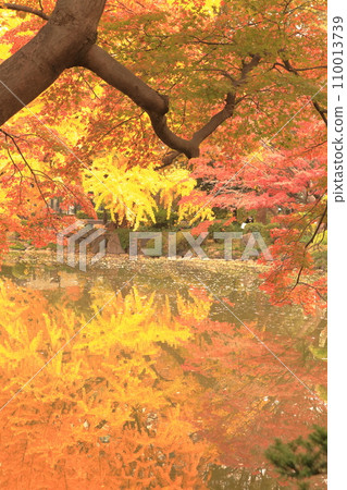 Autumn leaves reflected on the water Autumn leaves reflected on the water 110013739