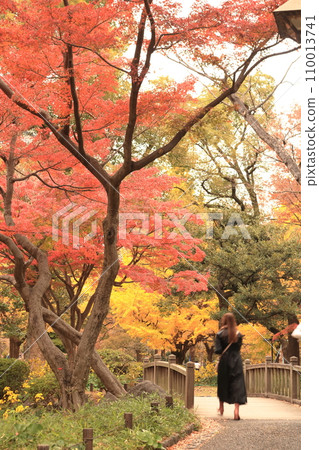 Autumn park dyed in yellow Autumn park dyed in yellow 110013741