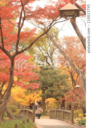 秋天的公園染成黃色 秋天的公園染成黃色 110013745
