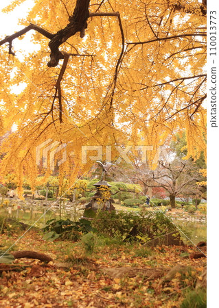 Autumn park dyed in yellow Autumn park dyed in yellow 110013773