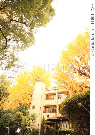 Autumn park dyed in yellow Autumn park dyed in yellow 110013780