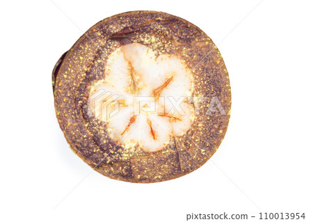 Plant Structure of Flowers, Fruits and Seeds in Laboratory. 110013954