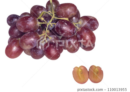 Plant Structure of Flowers, Fruits and Seeds in Laboratory. Plant Structure of Flowers, Fruits and Seeds in Laboratory. 110013955