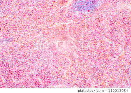 Plant Structure of Flowers, Fruits and Seeds in Laboratory. 110013984