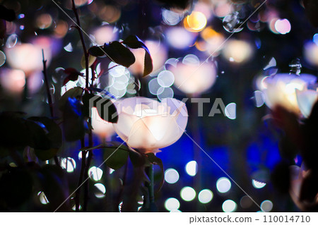 [冬季素材] 發光玫瑰彩燈 110014710