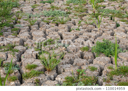 Dry cracked earth background, Global warming, climate change concept. Dry cracked earth background, Global warming, climate change concept. 110014959