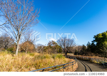 東京都武藏國分寺公園圓形廣場 東京都武藏國分寺公園圓形廣場 110014960