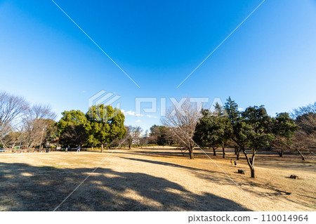東京都武藏國分寺公園圓形廣場 東京都武藏國分寺公園圓形廣場 110014964