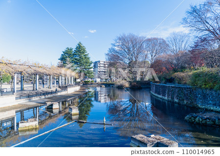 東京都武藏國分寺公園圓形廣場 東京都武藏國分寺公園圓形廣場 110014965
