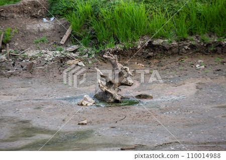 Dry cracked earth background, Global warming, climate change concept. 110014988