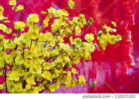decoration and yellow flowers for Tet Lunar New Year 110015201