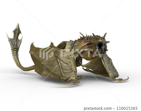 龍 龍 110015265