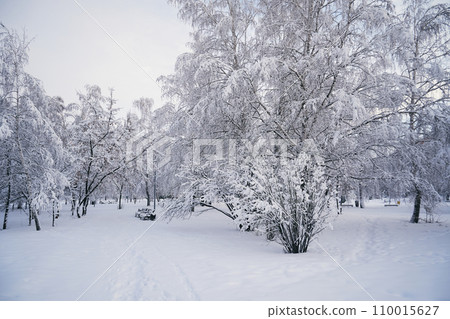 Beautiful winter landscape with snow-covered trees in a city park early in the morning Beautiful winter landscape with snow-covered trees in a city park early in the morning 110015627
