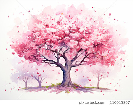 Cherry tree cherry blossom viewing illustration 110015807