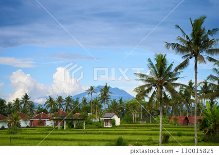 Panorama of Mount Agung and rice fields on the island of Bali. View of the mountain against a background of palm trees and a cornfield. Panorama of Agung volcano covered with clouds on a sunny day. Panorama of Mount Agung and rice fields on the island of Bali. View of the mountain against a background of palm trees and a cornfield. Panorama of Agung volcano covered with clouds on a sunny day. 110015825