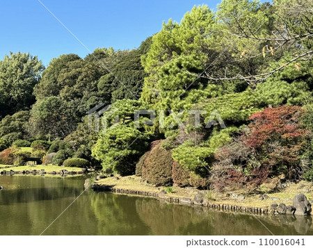 陽光明媚的日本花園湖面反射著秋樹 110016041