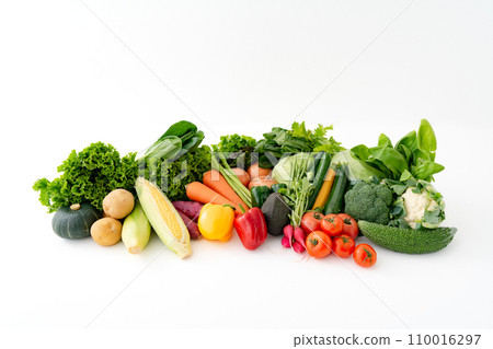Vegetables collection agricultural products 110016297
