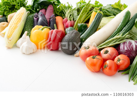 蔬菜採集農產品 蔬菜採集農產品 110016303