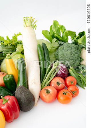 Vegetables collection agricultural products 110016308