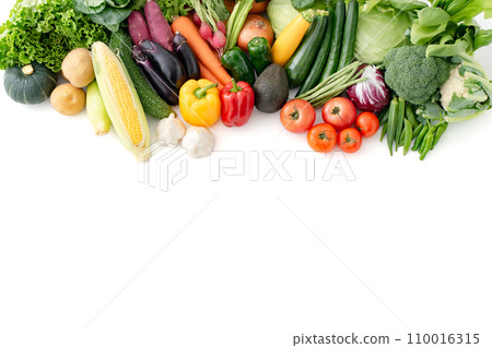 蔬菜採集農產品 蔬菜採集農產品 110016315