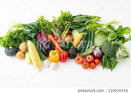 蔬菜採集農產品 蔬菜採集農產品 110016316