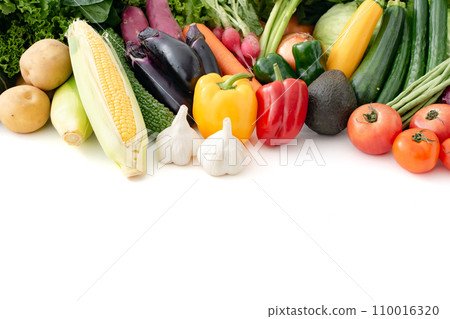 Vegetables collection agricultural products Vegetables collection agricultural products 110016320