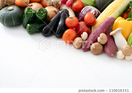 蔬菜採集農產品 110016331