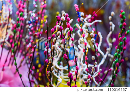 Colorful willow branches as decor for a spring or easter day Colorful willow branches as decor for a spring or easter day 110016367