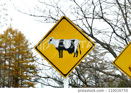 Cow crossing caution road sign Cow crossing caution road sign 110016750