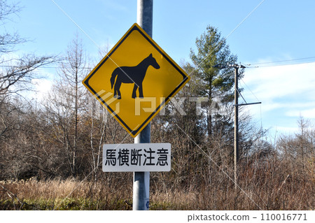 馬過馬路的路標警告 110016771
