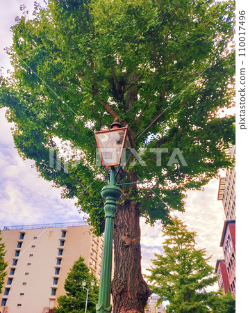 城市的路燈 110017496