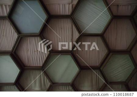 Hexagonal tile Hexagonal tile 110018687