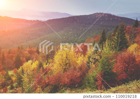 Autumn in the mountains. View of the mountains in autumn. Beautiful nature landscape. Carpathian mountains. Bukovel, Ukraine 110019218