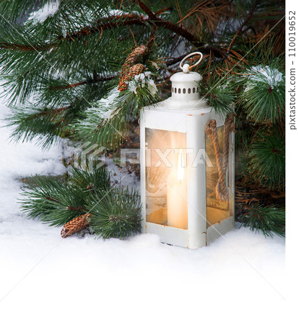Glowing lantern under fir tree in the forest 110019652