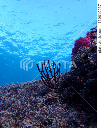Blue shining water surface Blue shining water surface 110019937