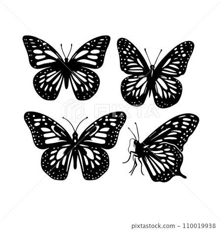 Silhouette Solid Vector Icon Set Of butterflies, Moth, Lepidopteran, Insect, Papillon 110019938