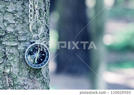 Compass on the background of greenery in the forest 110020503