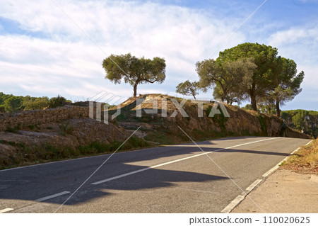 Spain. Side of the road. Beautiful olive trees grow along the road. View of the road Spain. Side of the road. Beautiful olive trees grow along the road. View of the road 110020625