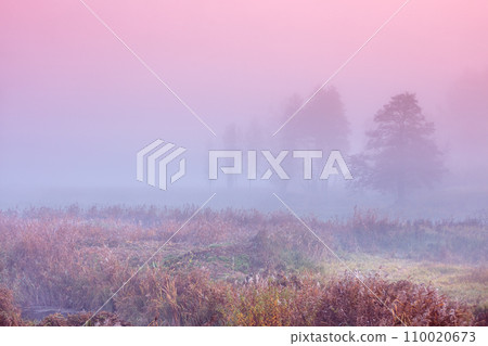 Early misty morning. Sunrise in the meadow. Rural landscape in autumn. Wilderness Early misty morning. Sunrise in the meadow. Rural landscape in autumn. Wilderness 110020673