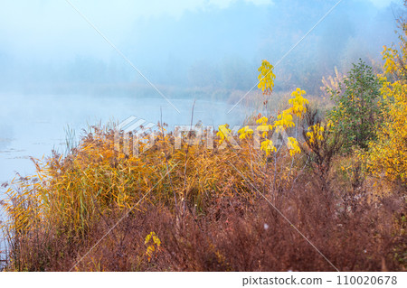 Early misty morning. Sunrise over the lake. Rural landscape in autumn. Wilderness. Serenity lake 110020678